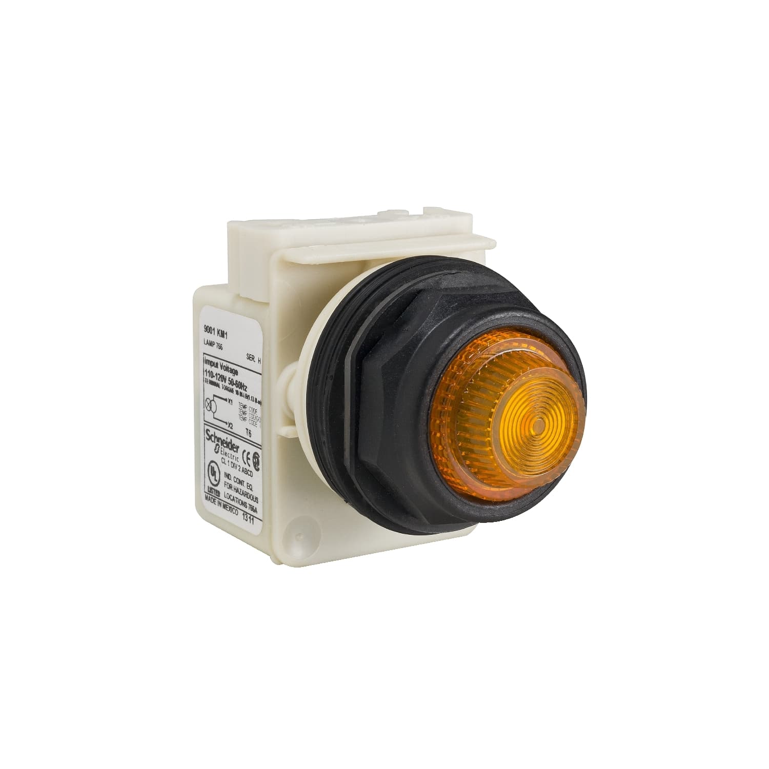 9001SKT35LYY31 Schneider Electric