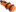 CMP Automate