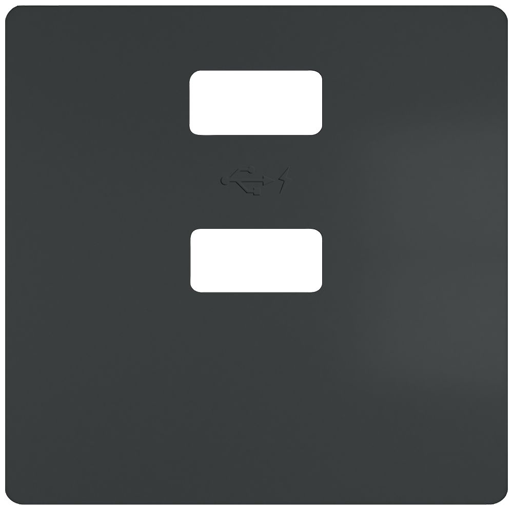 Siemens 1 Way USB Faceplate | 5TG2578-0CM