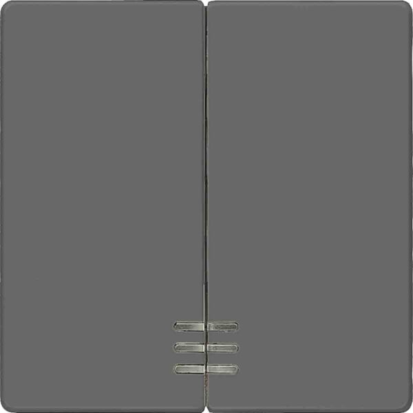Siemens Rocker Switch