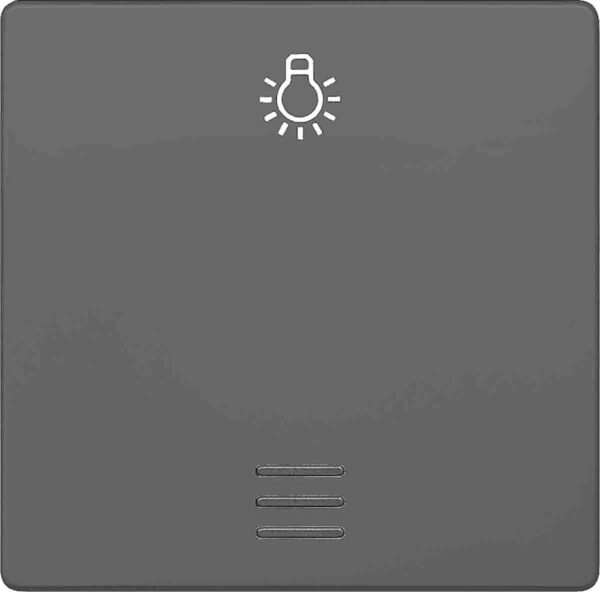 Siemens Rocker Switch
