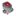 CMP Automate